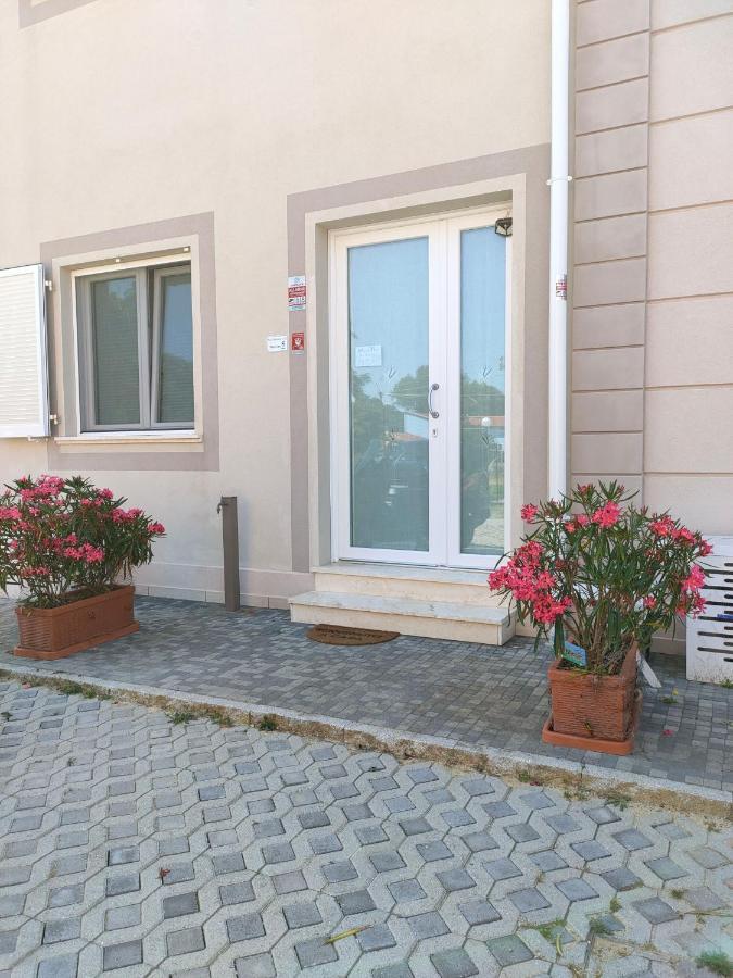 Monopat Hotel Marina Di Pisa Exterior photo